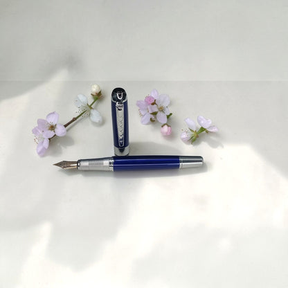 Penna Stilografica Personalizzata con Incisione Nome | Regalo Elegante Regalo aziendale